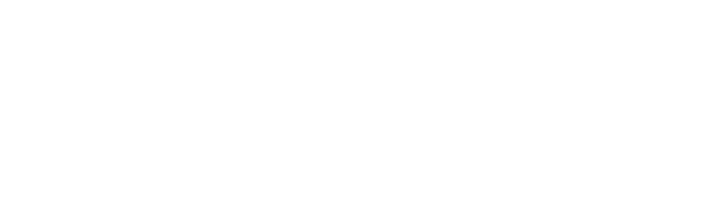 LogisticsTravels